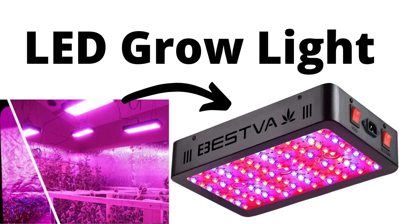 Best Budget LED Grow Lights for Indoor Plants. Techno Electrics