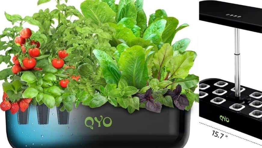 QYO 12 Pods Indoor Herb Garden