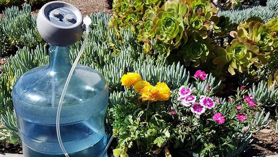 9 Best Watering Systems For Plants