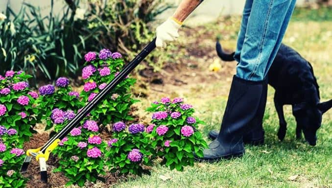 Gardening Hoe / Weeder/ What Are Common Gardening Tools?