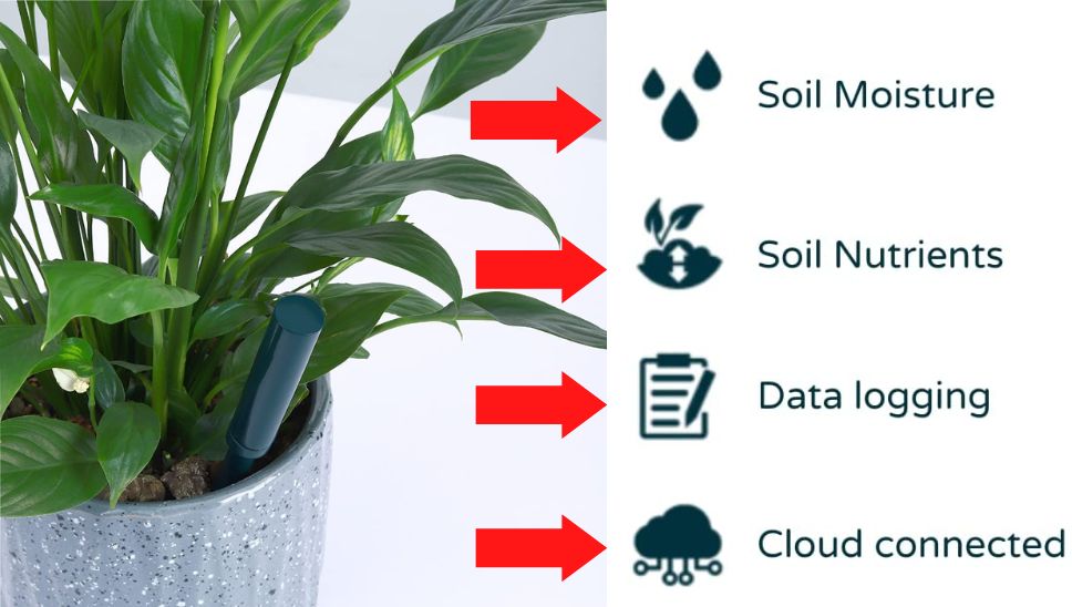 Soil Sensor for Growing Gardening