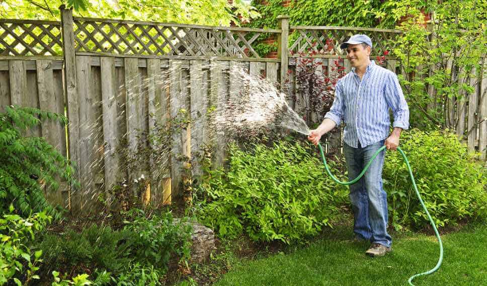 a man is watering the plants