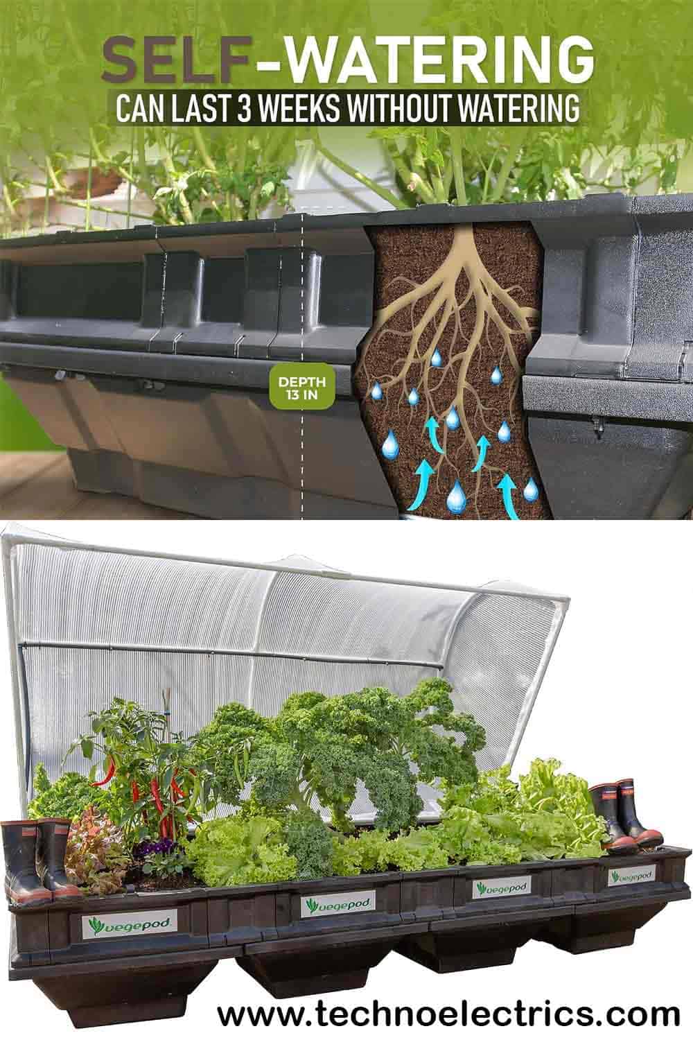 Fast Growing Vegetables in Pots - Techno Electrics