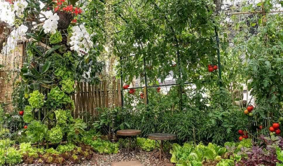 kitchen garden design