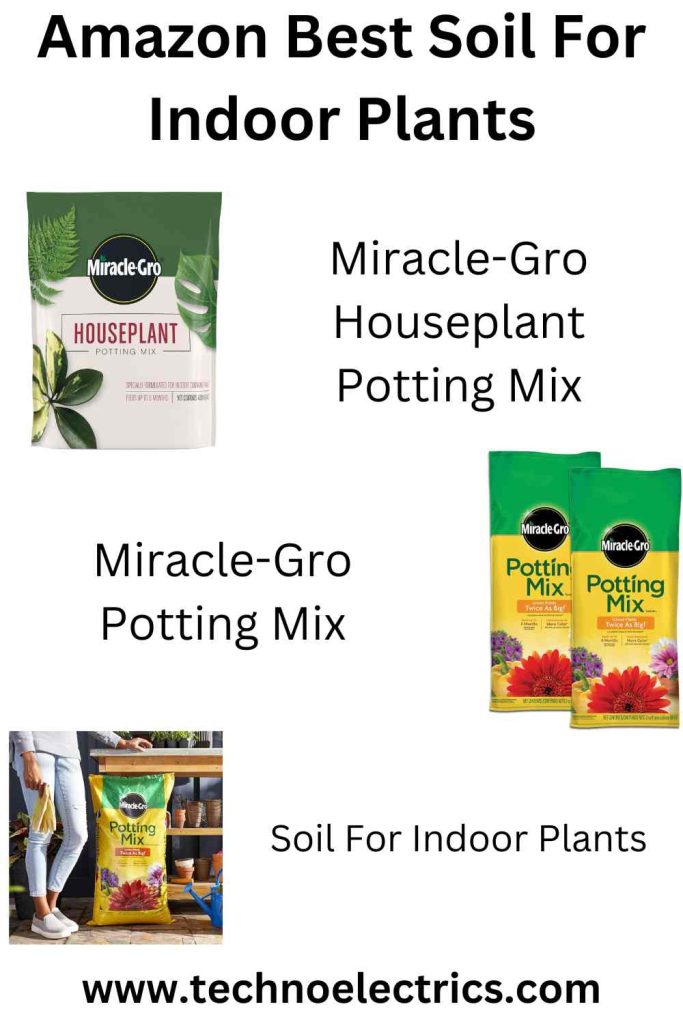 soil for indoor plants