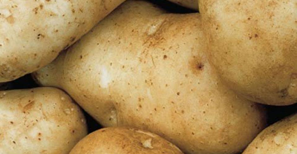 Kennebec Potatoes - 4 lbs