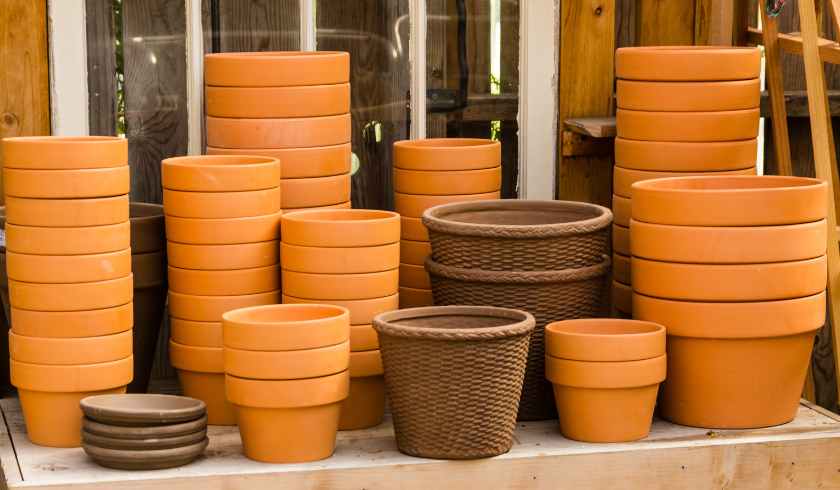 Container Gardening