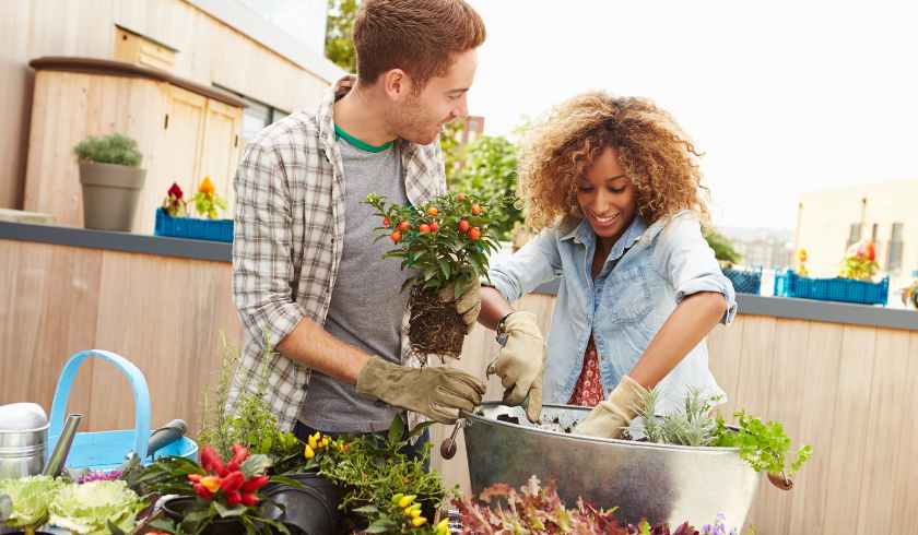 Container Gardening