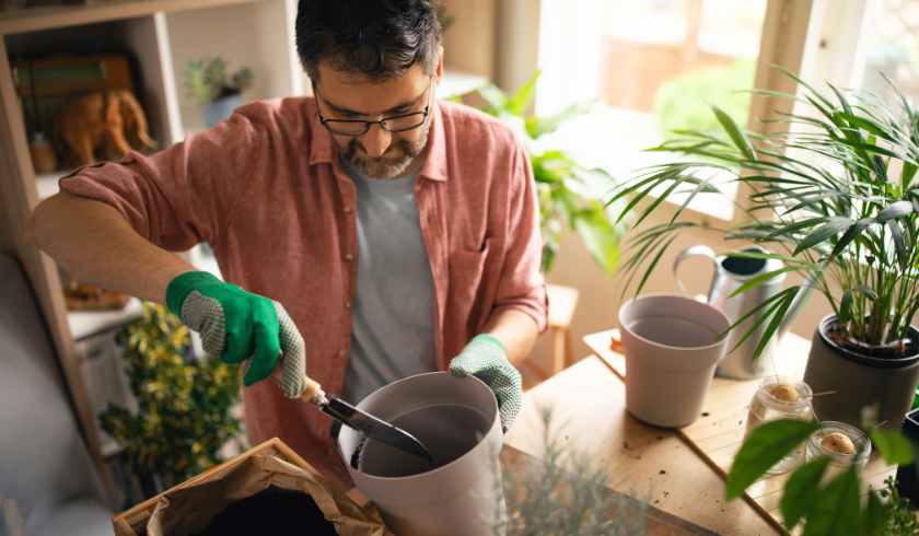 Container Gardening