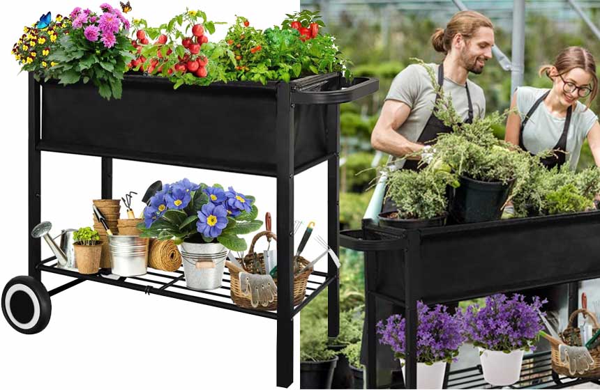 Fiwithy Raised Garden Bed with Legs for Outdoor Plants